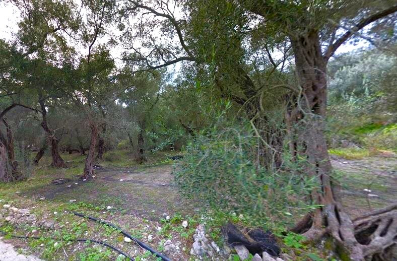 Land in Paxoi, Corfu Prefecture, Greece – 63511