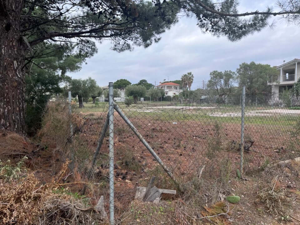 Land in Poligiros, Chalkidiki, Greece – 63509