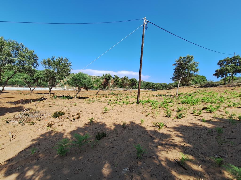 Land in Corfu, Corfu Prefecture, Greece – 63500
