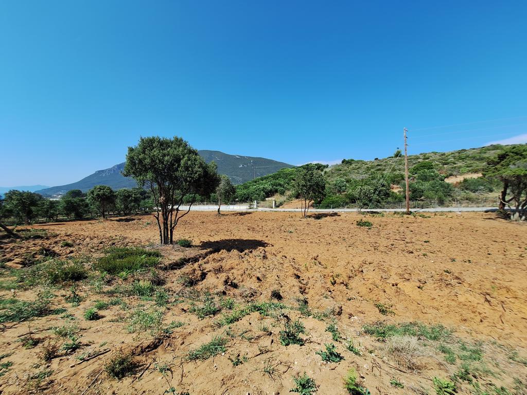 Land in Corfu, Corfu Prefecture, Greece – 63500
