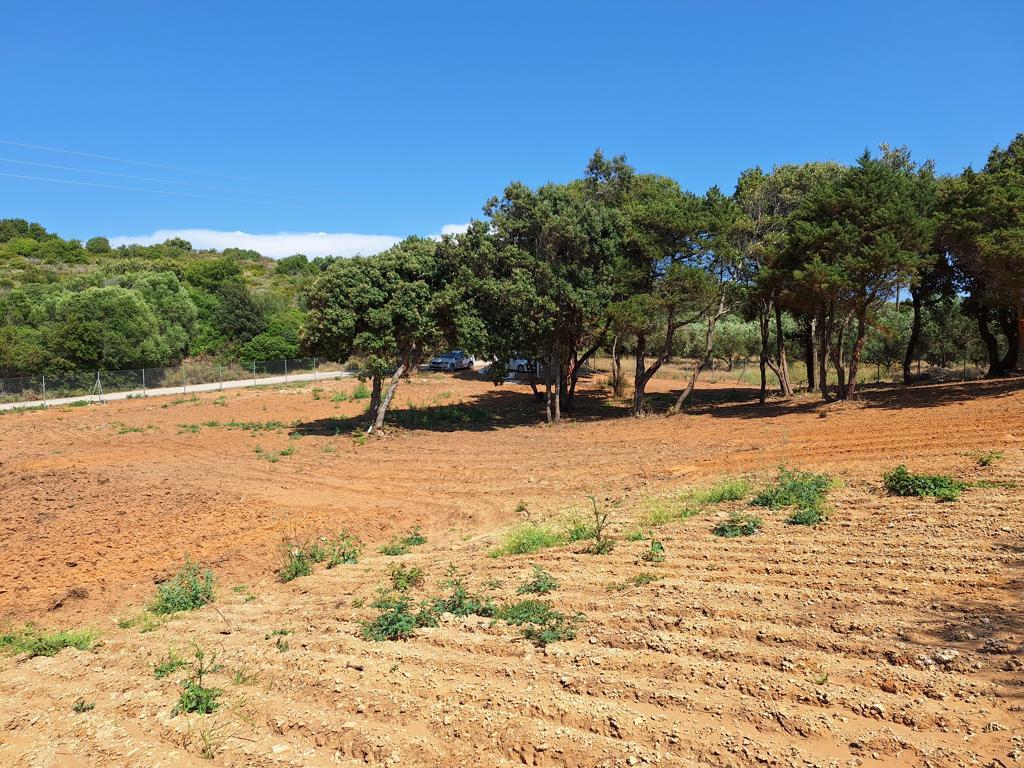 Land in Corfu, Corfu Prefecture, Greece – 63500