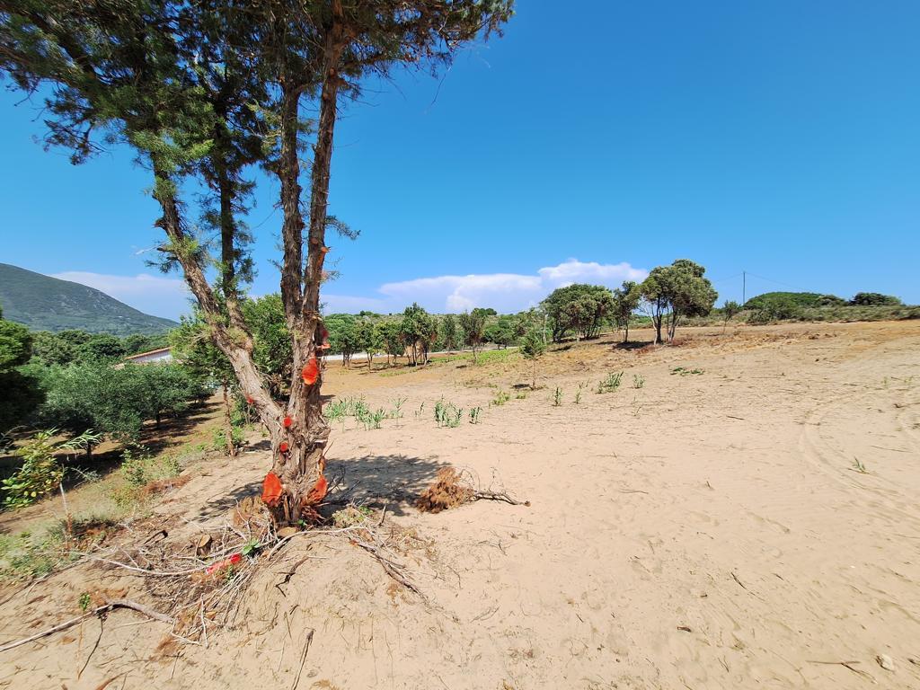 Land in Corfu, Corfu Prefecture, Greece – 63499