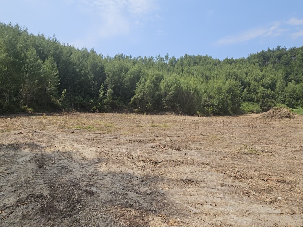 Land in Kassandra, Chalkidiki, Greece – 63490