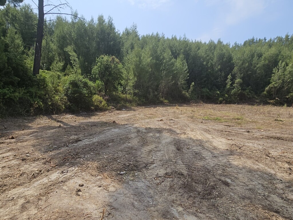 Land in Kassandra, Chalkidiki, Greece – 63490