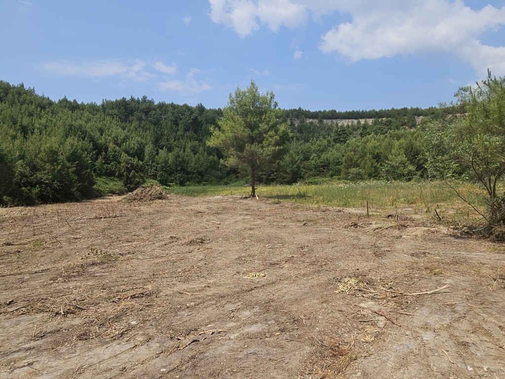 Land in Kassandra, Chalkidiki, Greece – 63490