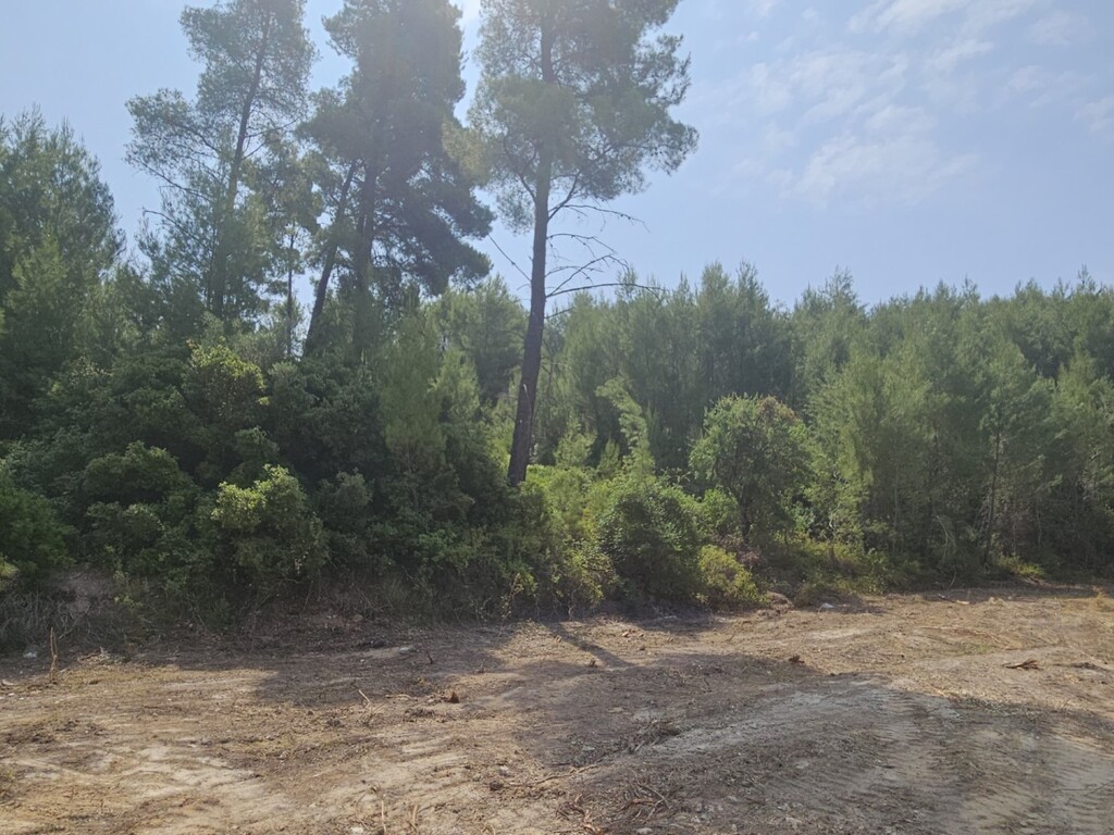 Land in Kassandra, Chalkidiki, Greece – 63490