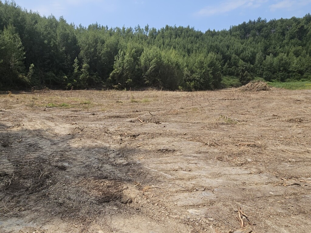 Land in Kassandra, Chalkidiki, Greece – 63490