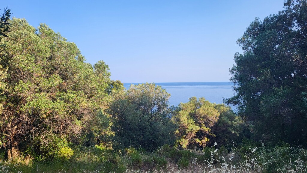 Land in Kassandra, Chalkidiki, Greece – 63471