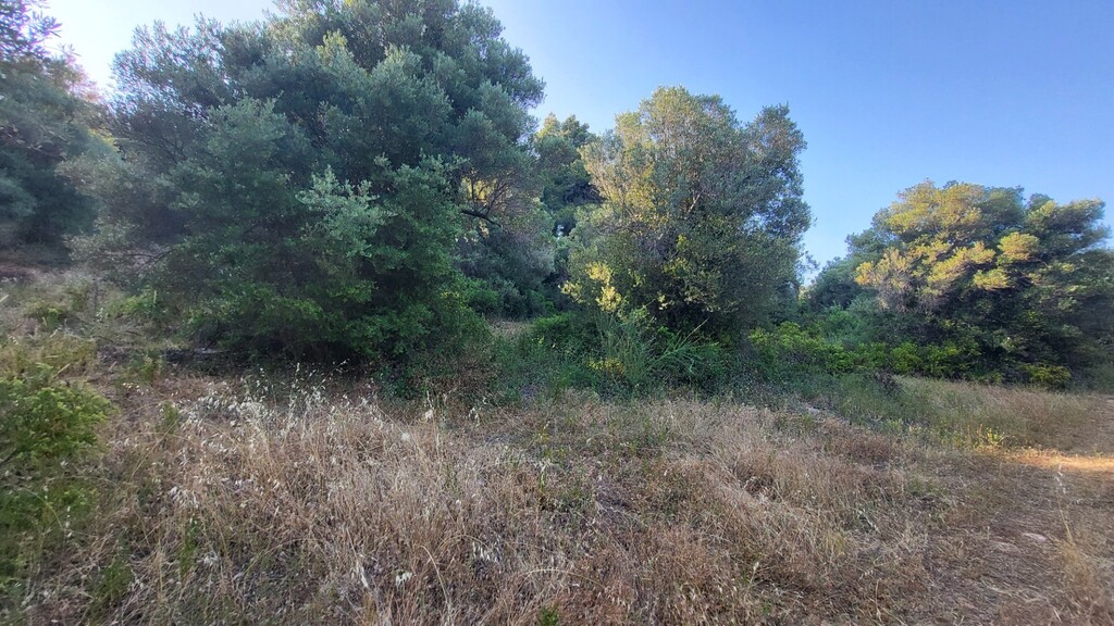 Land in Kassandra, Chalkidiki, Greece – 63471