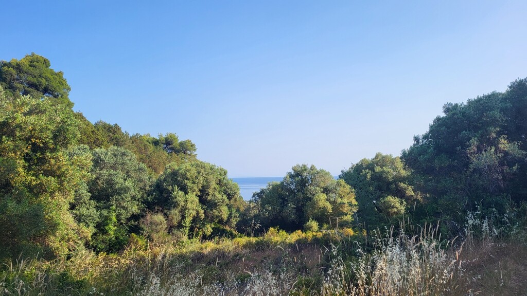 Land in Kassandra, Chalkidiki, Greece – 63471