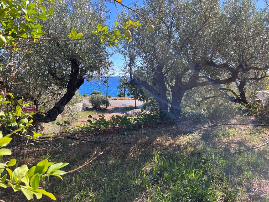 Complex in Makris Gialos, Lasithi Prefecture, Greece – 63434
