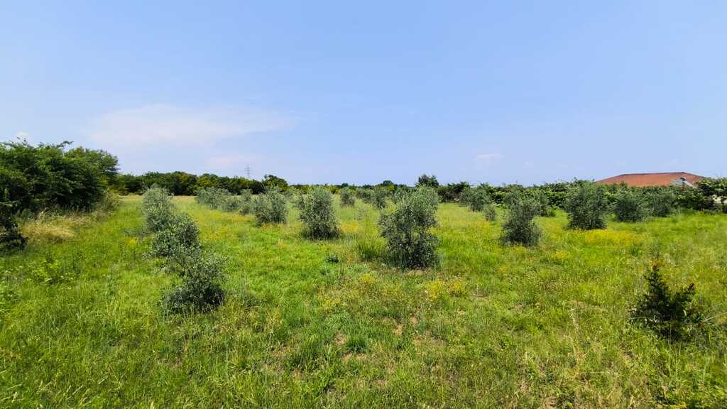 Land in Easts Olimpos, Pieria Prefecture, Greece – 63432