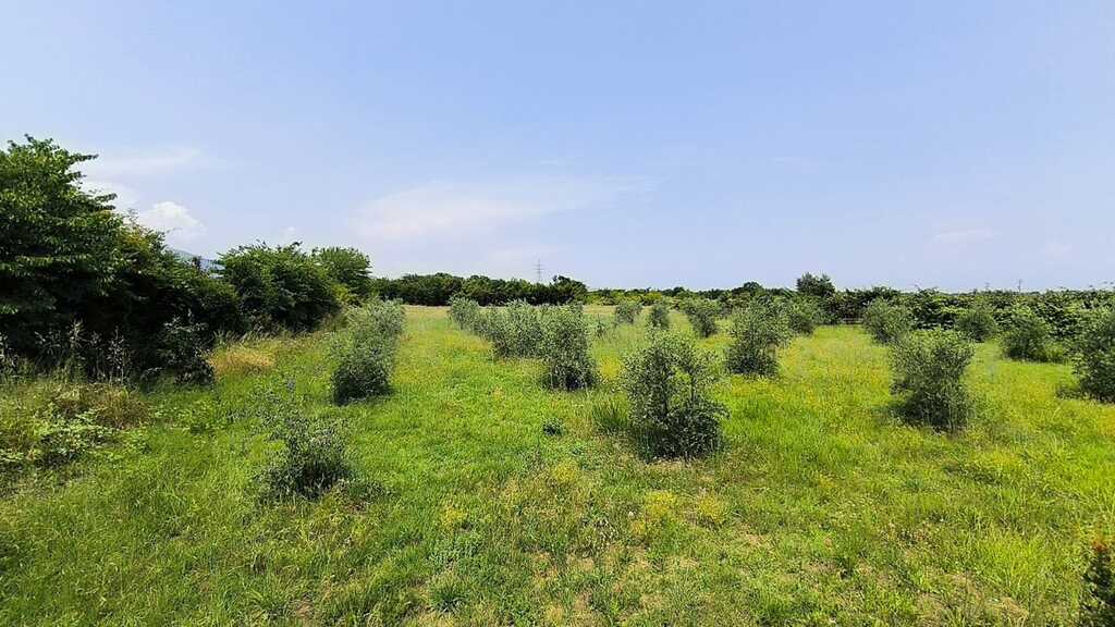 Land in Easts Olimpos, Pieria Prefecture, Greece – 63432
