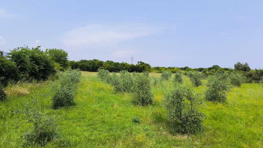 Land in Easts Olimpos, Pieria Prefecture, Greece – 63432