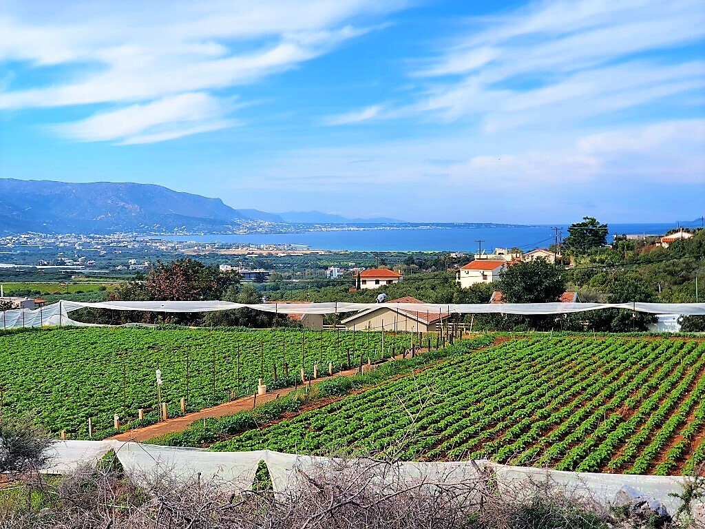 Land in Vrachasi, Lasithi Prefecture, Greece – 63410