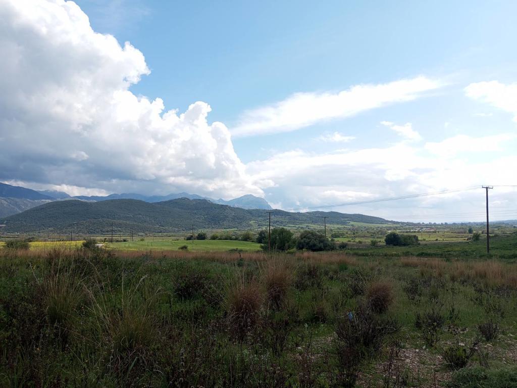 Land in Anaktorio, Aetolia & Acarnania, Greece – 63408