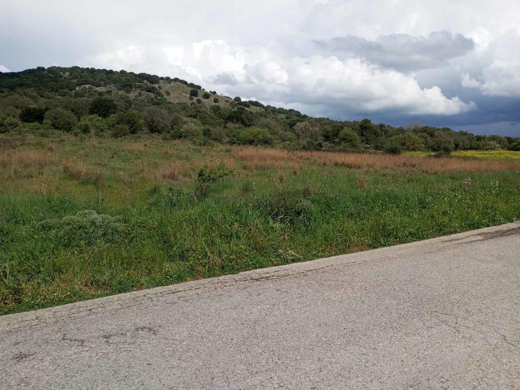 Land in Anaktorio, Aetolia & Acarnania, Greece – 63408