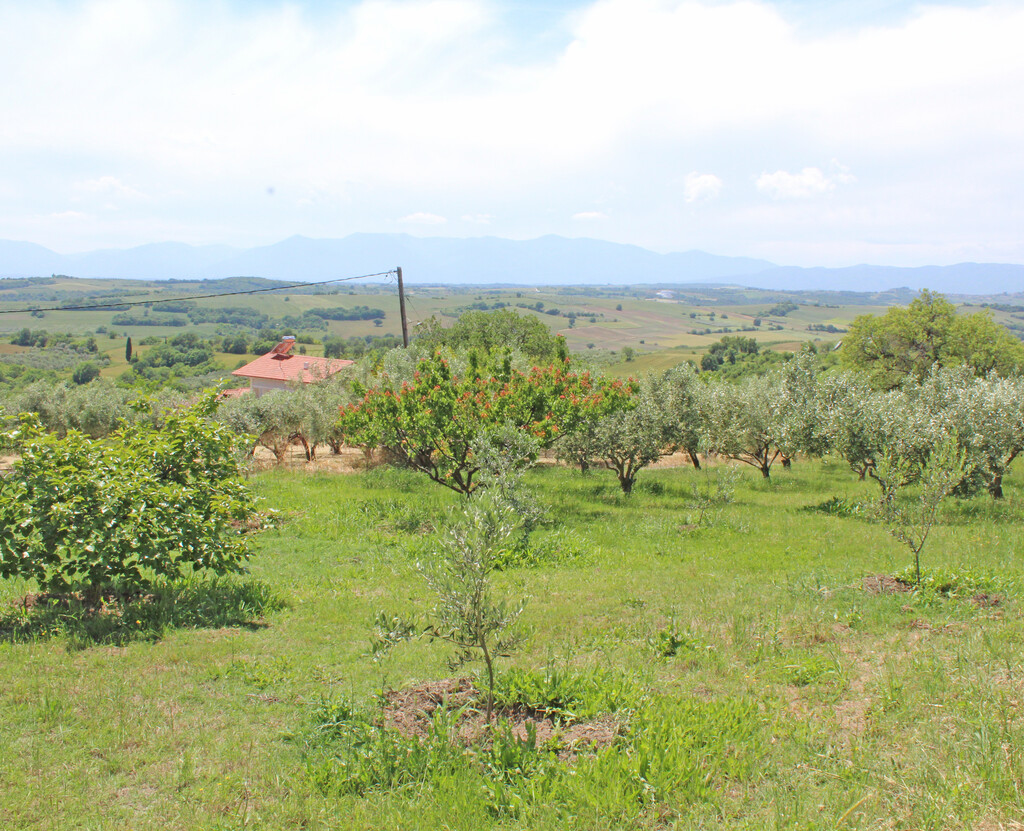 Land in Korinos, Pieria Prefecture, Greece – 63405