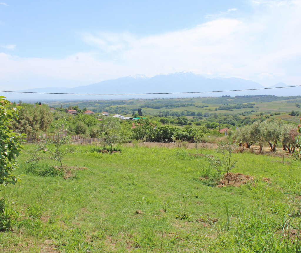 Land in Korinos, Pieria Prefecture, Greece – 63404