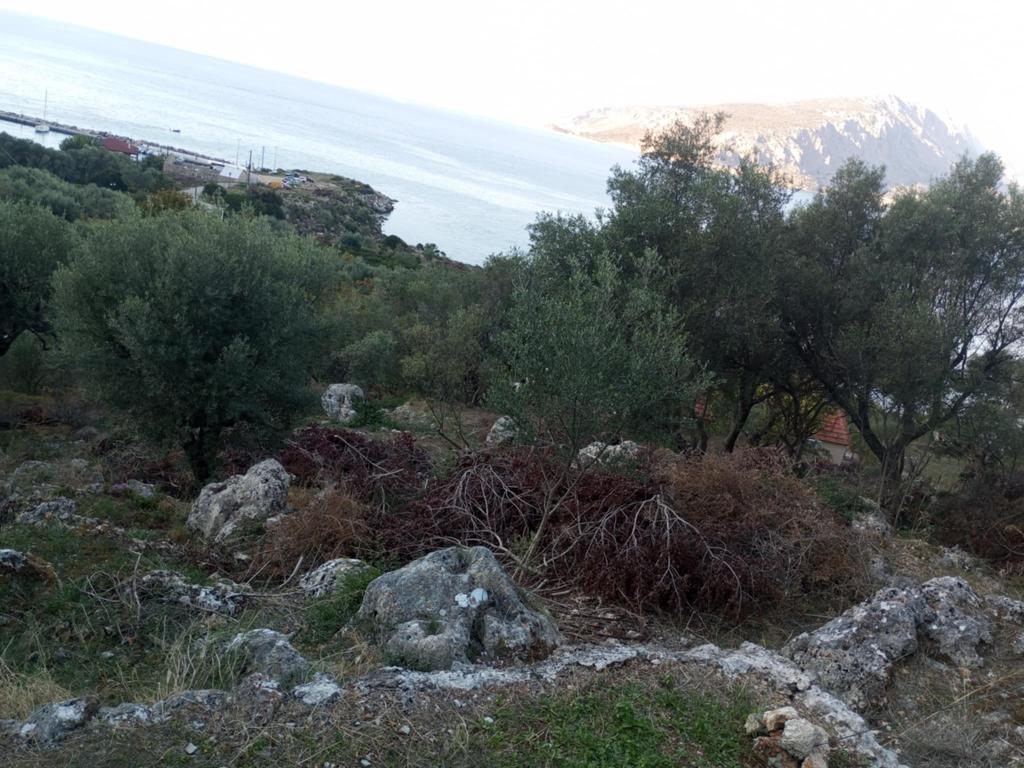 Land in Kalamos, Lefkada Prefecture, Greece – 63399