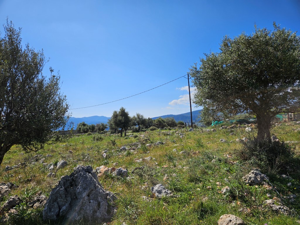 Land in Agios Nikolaos, Lasithi Prefecture, Greece – 63360