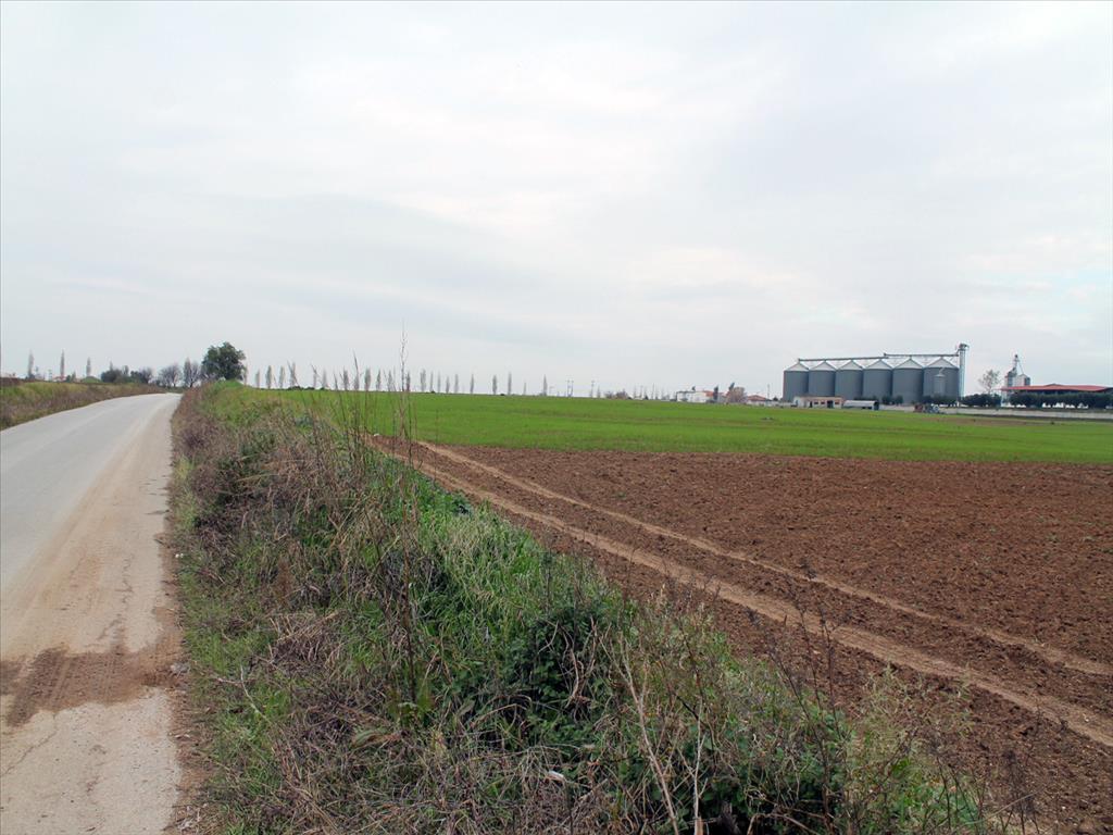 Land in Epanomi, Thessaloniki – Suburbs, Greece – 63303