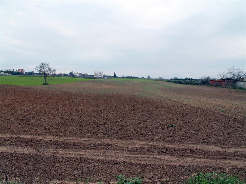 Land in Epanomi, Thessaloniki – Suburbs, Greece – 63303