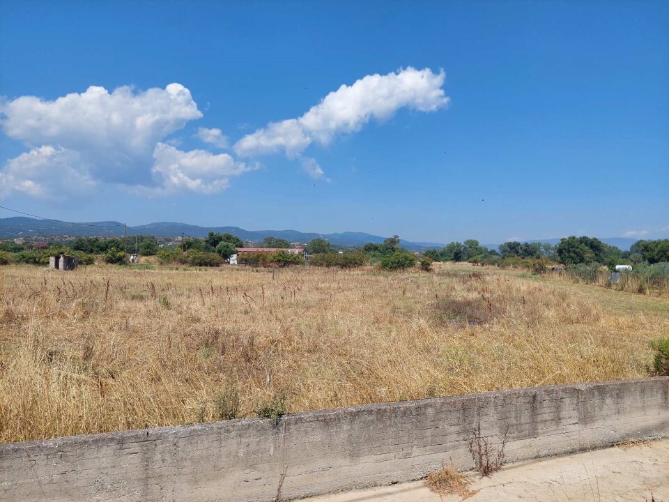 Land in Aristotle, Chalkidiki, Greece – 63289