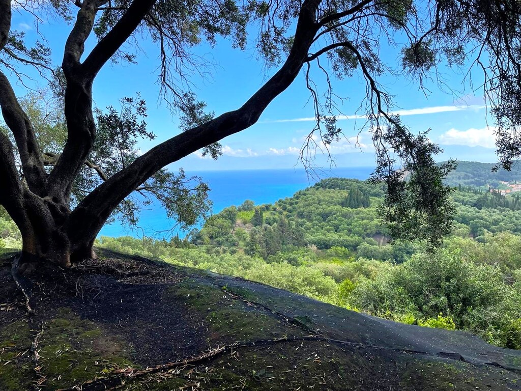 Land in Corfu, Corfu Prefecture, Greece – 63230