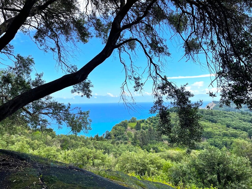Land in Corfu, Corfu Prefecture, Greece – 63230