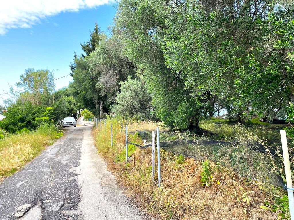 Land in Corfu, Corfu Prefecture, Greece – 63230