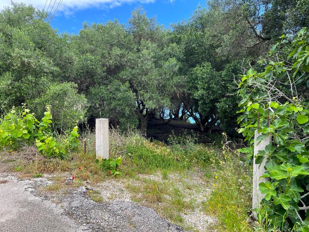 Land in Corfu, Corfu Prefecture, Greece – 63229
