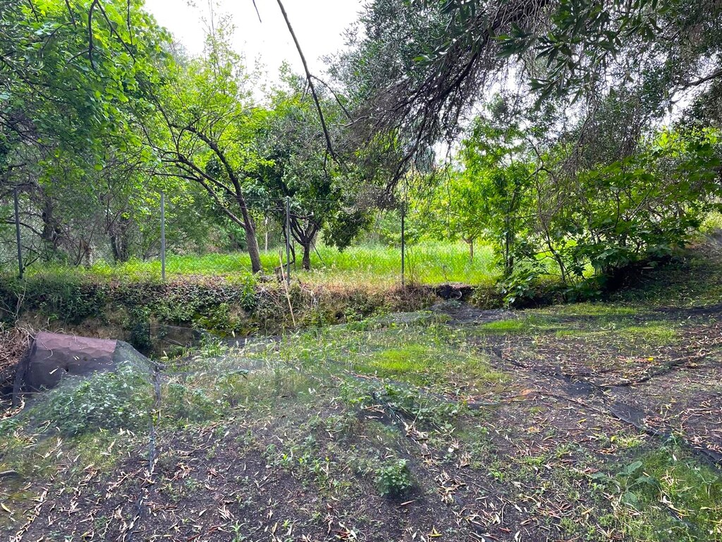 Land in Corfu, Corfu Prefecture, Greece – 63229