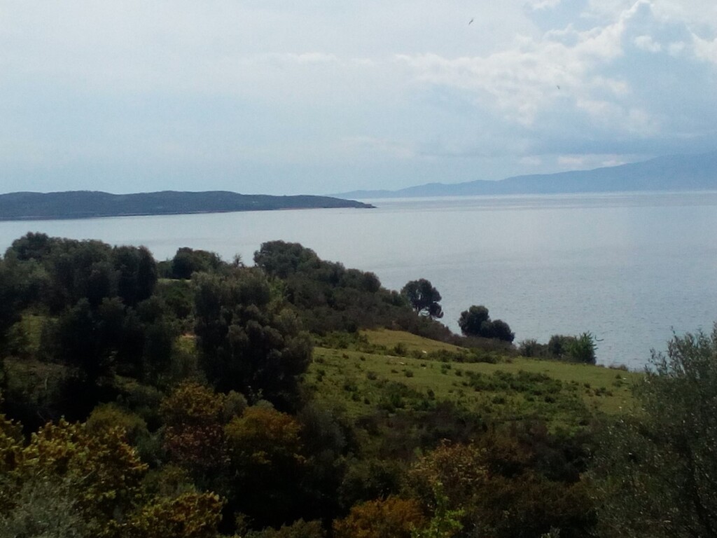 Land in Aristotle, Chalkidiki, Greece – 63100