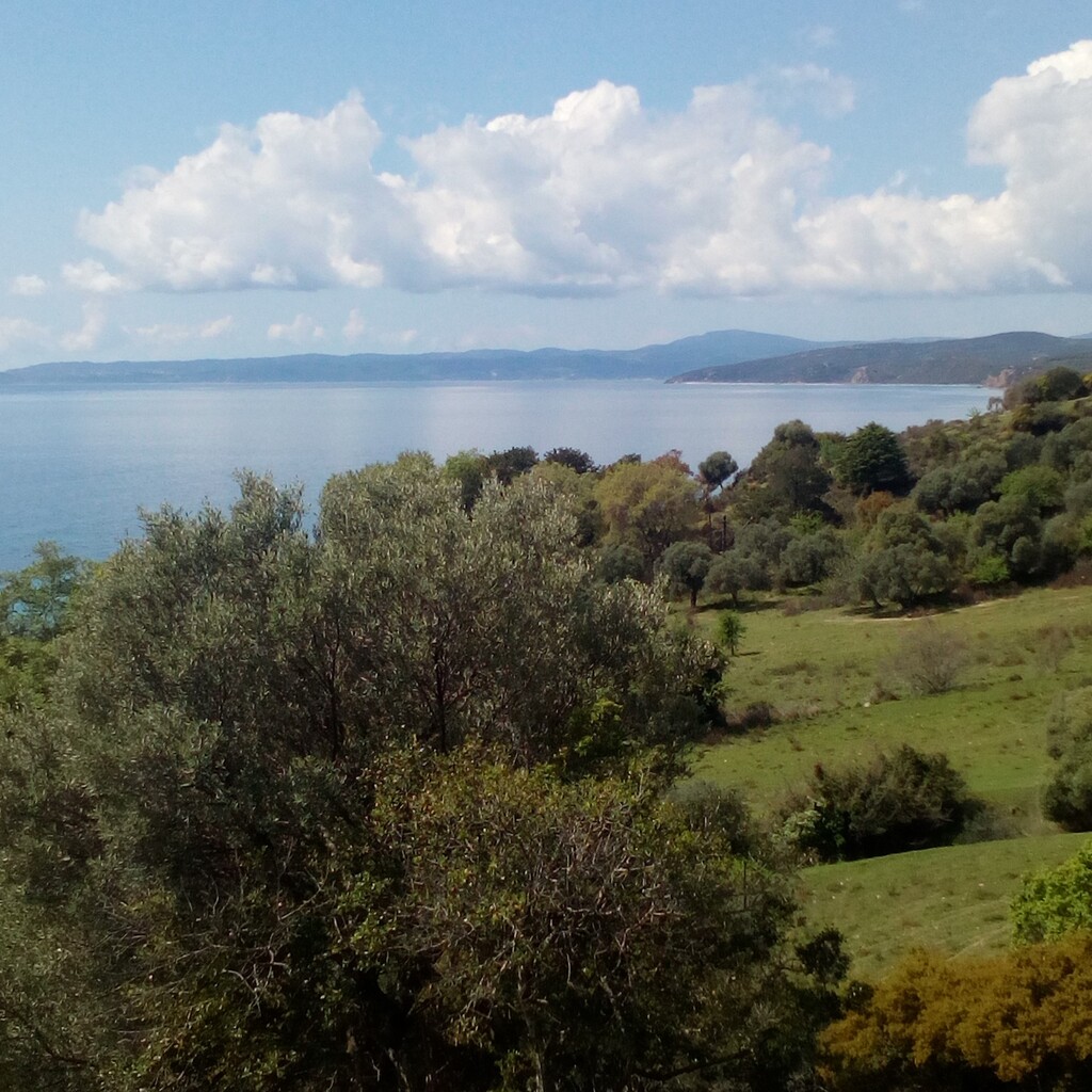 Land in Aristotle, Chalkidiki, Greece – 63100