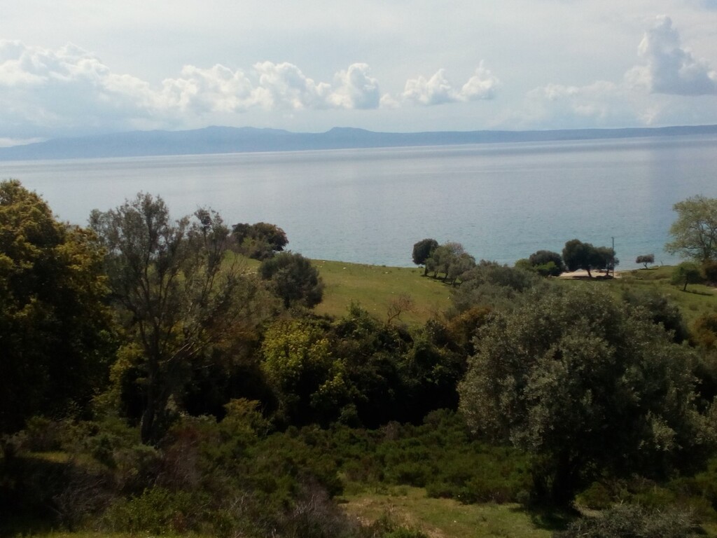 Land in Aristotle, Chalkidiki, Greece – 63100