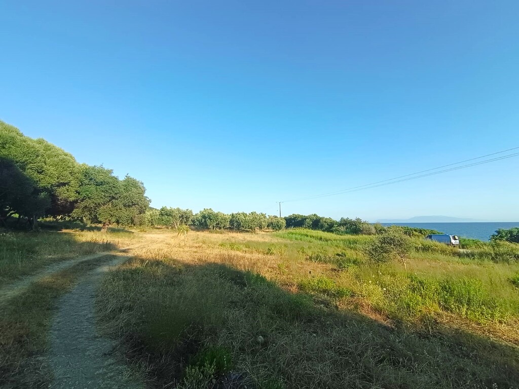 Land in Zaloggo, Preveza Prefecture, Greece – 63044
