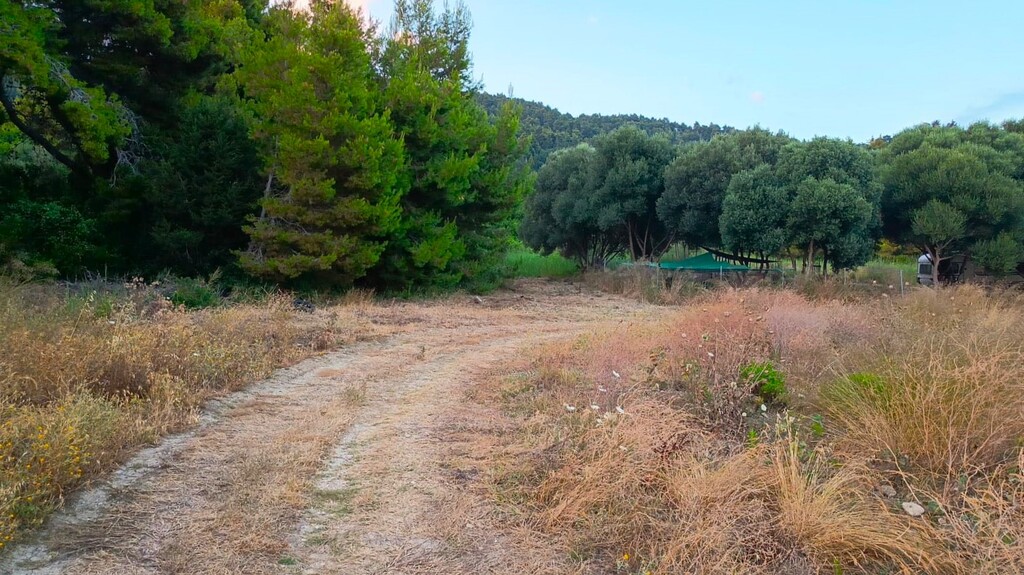 Land in Zaloggo, Preveza Prefecture, Greece – 63044
