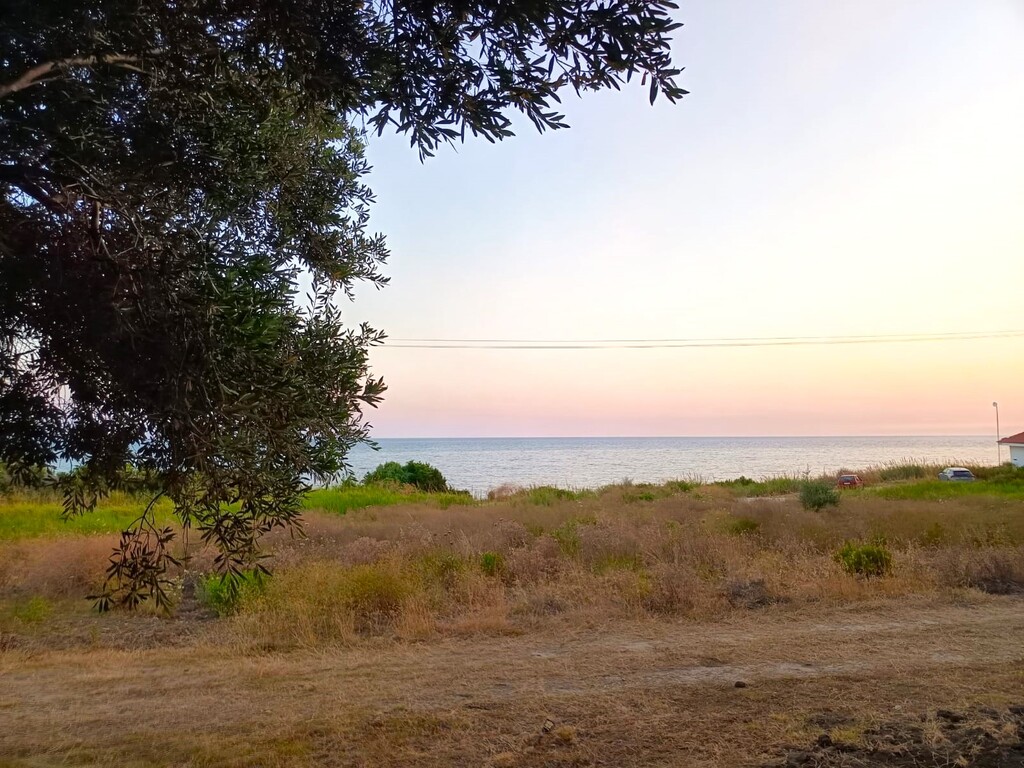 Land in Zaloggo, Preveza Prefecture, Greece – 63044