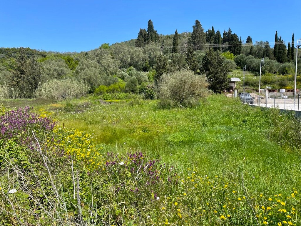 Land in Corfu, Corfu Prefecture, Greece – 62996