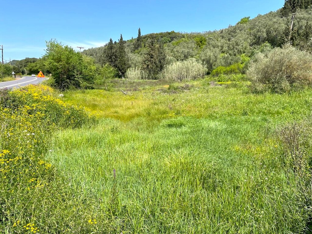 Land in Corfu, Corfu Prefecture, Greece – 62996