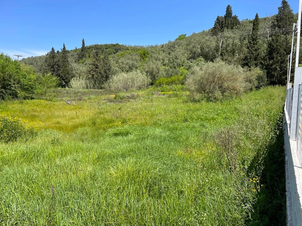 Land in Corfu, Corfu Prefecture, Greece – 62996