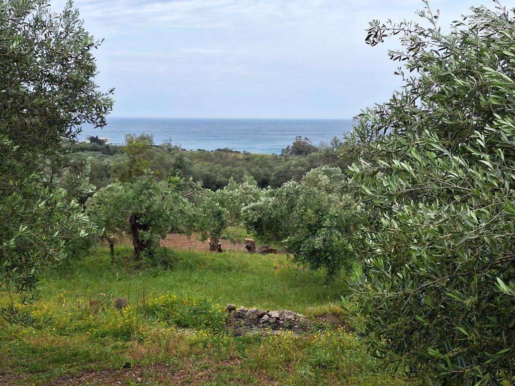 Land in Corfu, Corfu Prefecture, Greece – 62957