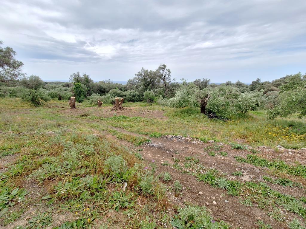 Land in Corfu, Corfu Prefecture, Greece – 62957