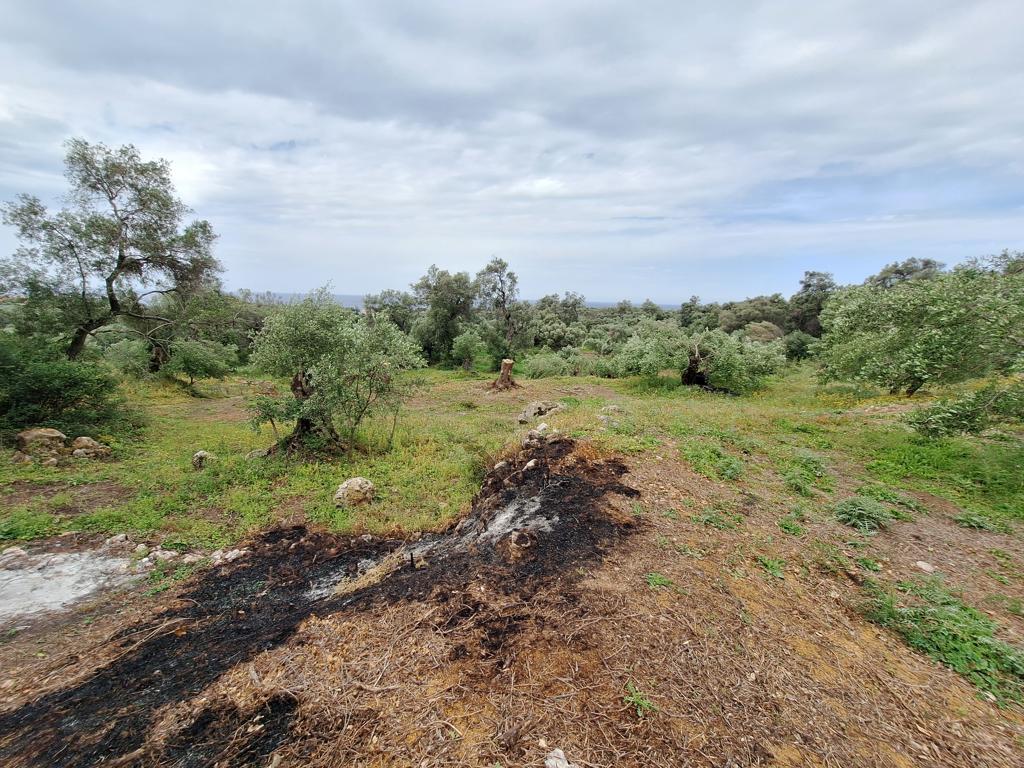 Land in Corfu, Corfu Prefecture, Greece – 62957