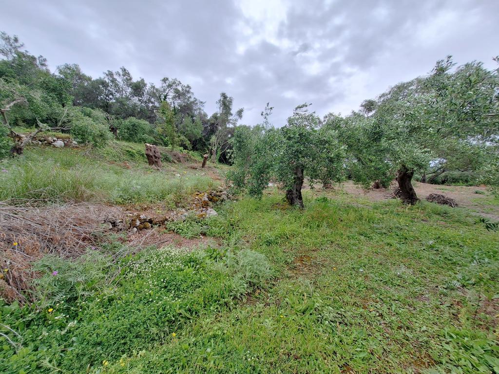 Land in Corfu, Corfu Prefecture, Greece – 62957