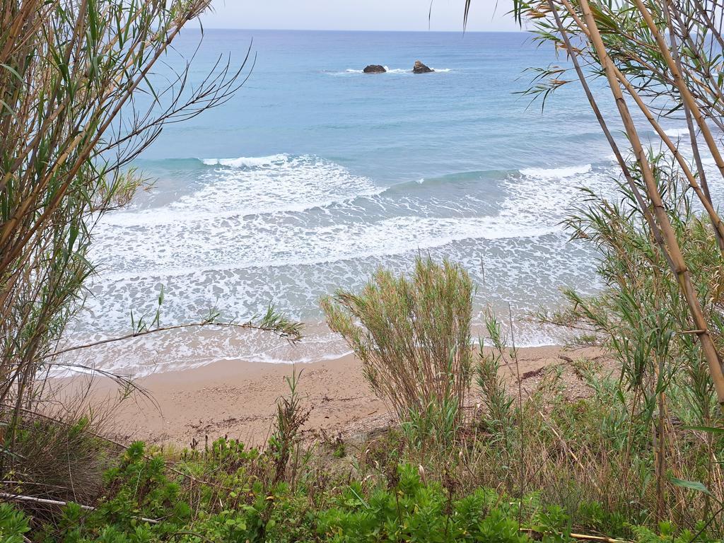Land in Corfu, Corfu Prefecture, Greece – 62951