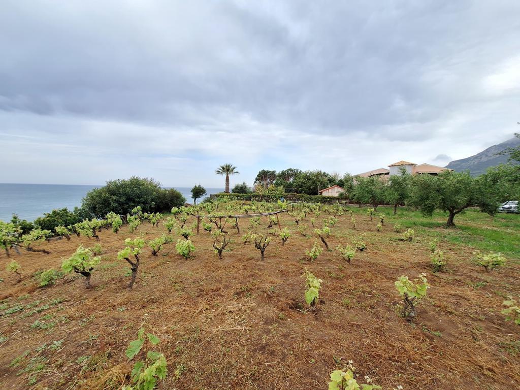 Land in Corfu, Corfu Prefecture, Greece – 62951