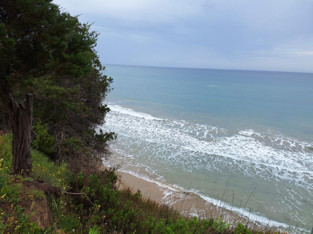 Land in Corfu, Corfu Prefecture, Greece – 62951