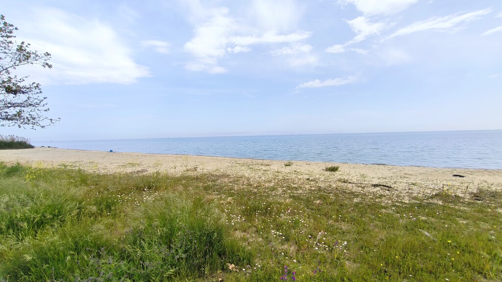 Land in Pidna, Pieria Prefecture, Greece – 62927